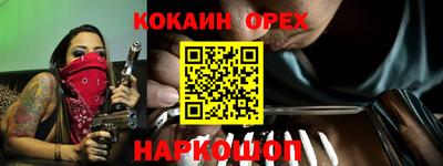 тгк Новозыбков