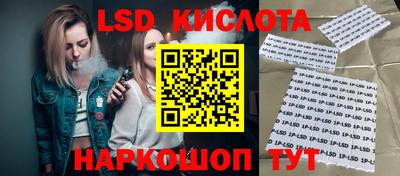 стаф Новодвинск