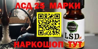 тгк Новозыбков