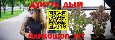 стаф Новодвинск