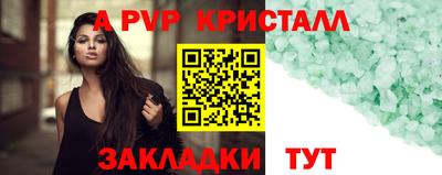 тгк Новозыбков