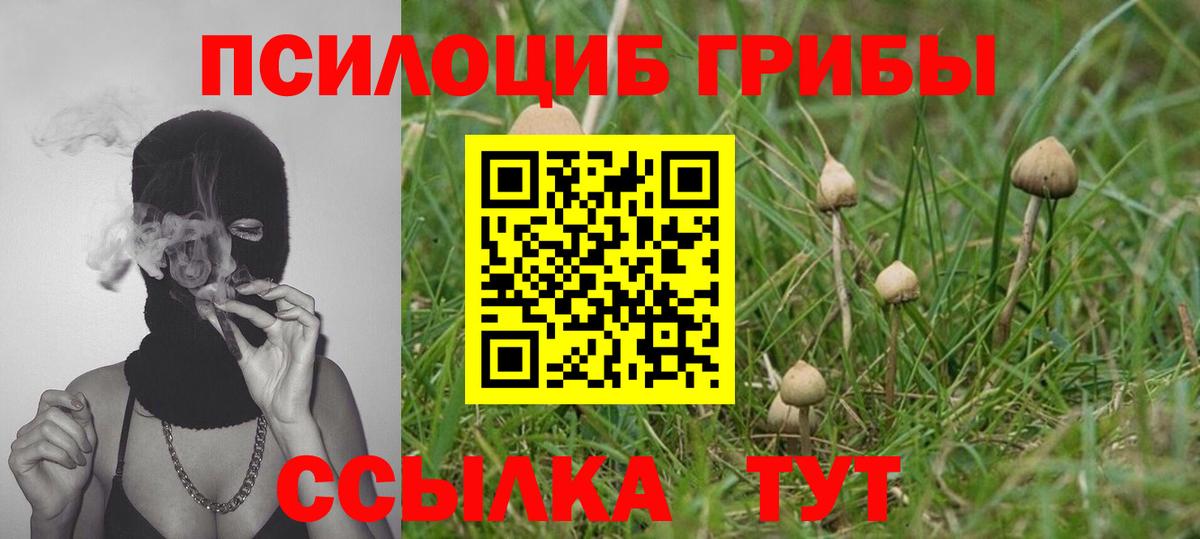 Где найти наркотики?  Бошки Шишки  Сланцы  Меф МЯУ МЯУ   Alpha-PVP СОЛЬ   Гашиш  Вход с VPN 