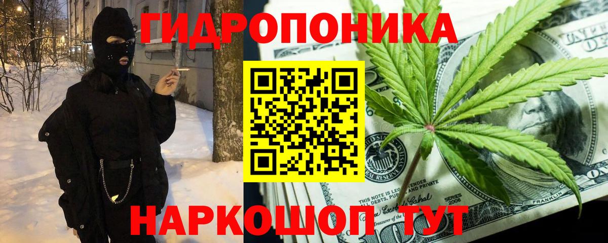 Канабис планчик Сланцы